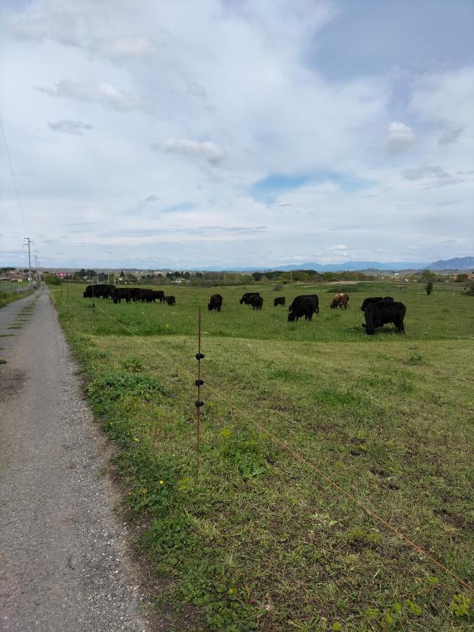 Rod Ranch Livestock - Appartamento Con Camino E Vista Piscina 캄파냐노 디 로마 외부 사진